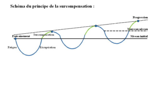 T'est-il déjà arriver de stagner dans ta progression sportive et comme