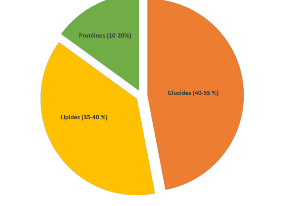 Répartition des macronutriments