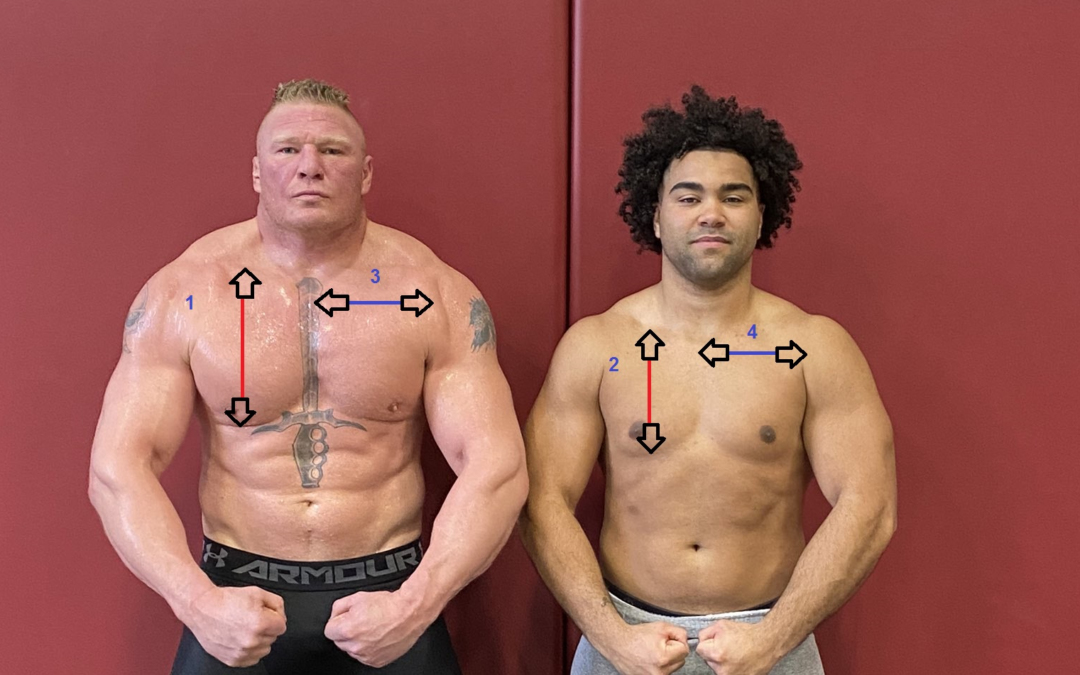 Brock Lesnar and Gable Stevenson