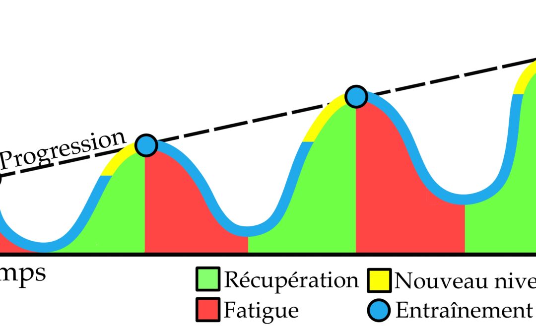 La planification de l’entraînement