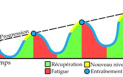 La planification de l’entraînement